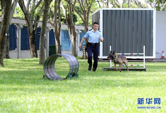 （港澳台·香港故事·图文互动）（5）香港警犬队领犬员和他的“家人”