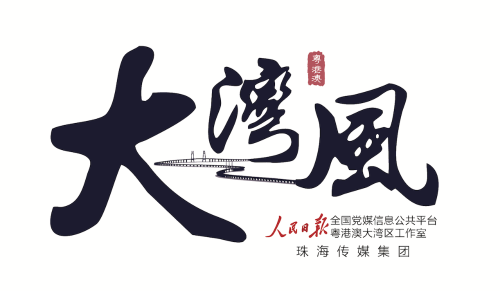 大湾风新logo