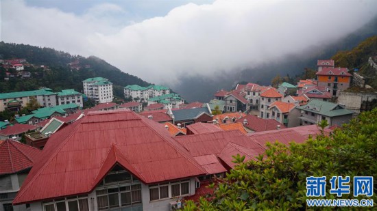 （環境）（3）秋染廬山