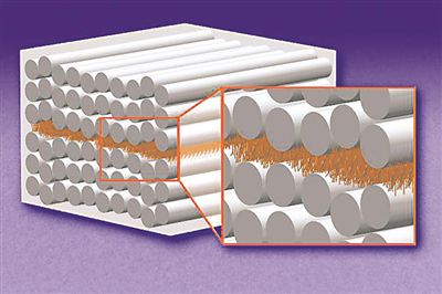 该示意图显示了具有复合层的工程材料。碳纤维层（长银管）之间“碳纳米管森林（棕色物体阵列）”。图片来源：美国科学促进会网站