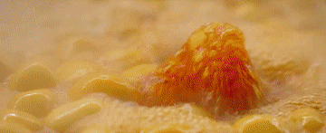 8796206269474645081.gif