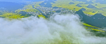 4820000595867372494.gif