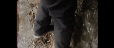 16109368733057248820.gif