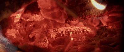 12987607031535386567.gif
