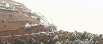 12704508885612411763.gif