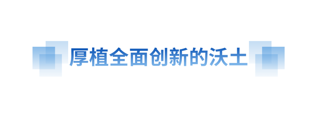 15255178520517798155.png