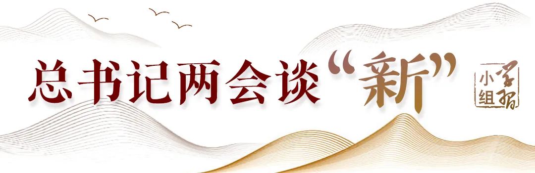 8811451616315443783.jpg
