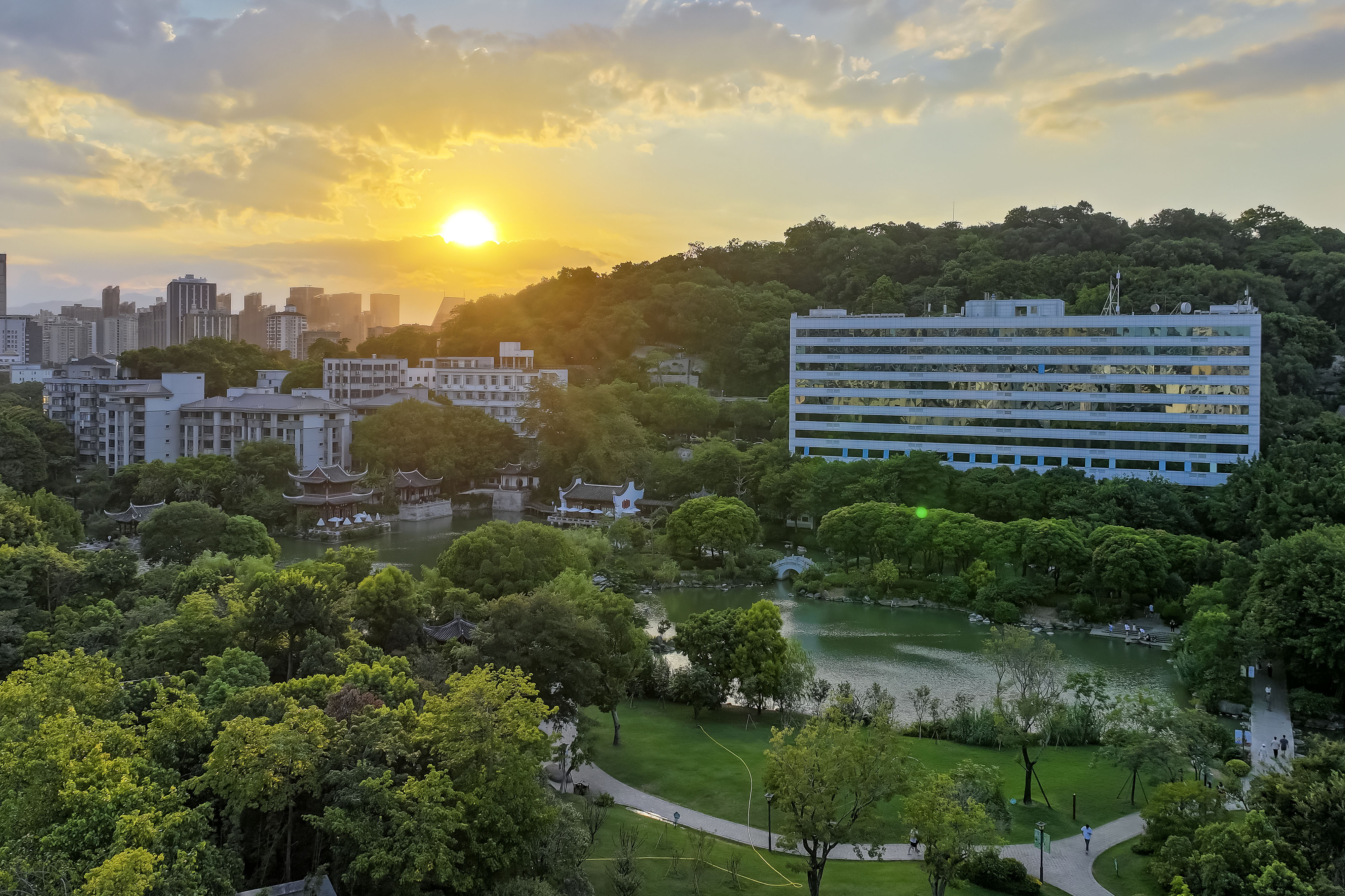 2024年7月17日,福州市鼓楼区黎明湖生态湿地公园。 2024年7月17日,福州市鼓楼区黎明湖生态湿地公园。
