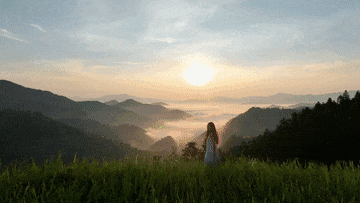 8896572108343544087.gif