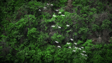 906815896480602657.gif