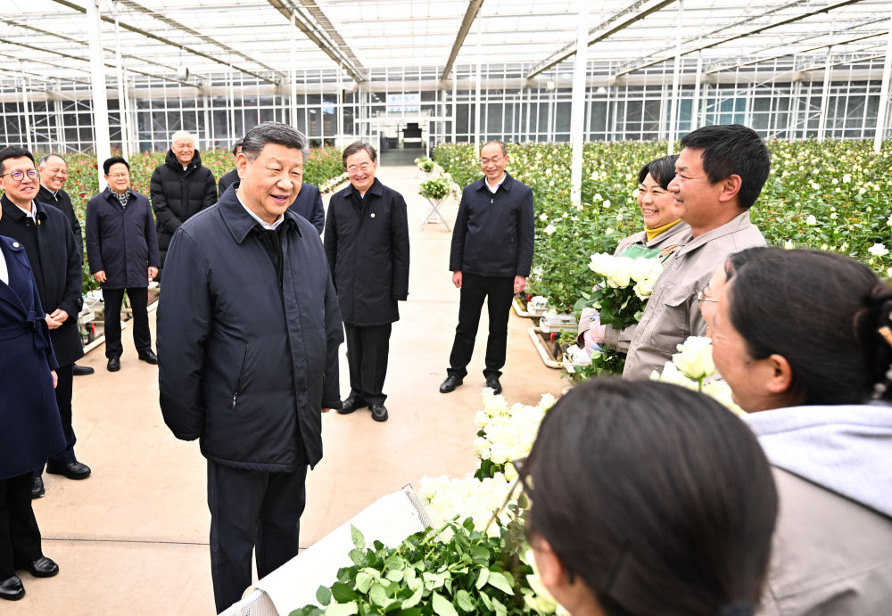 新华社记者 燕雁 摄 新华社记者 燕雁 摄