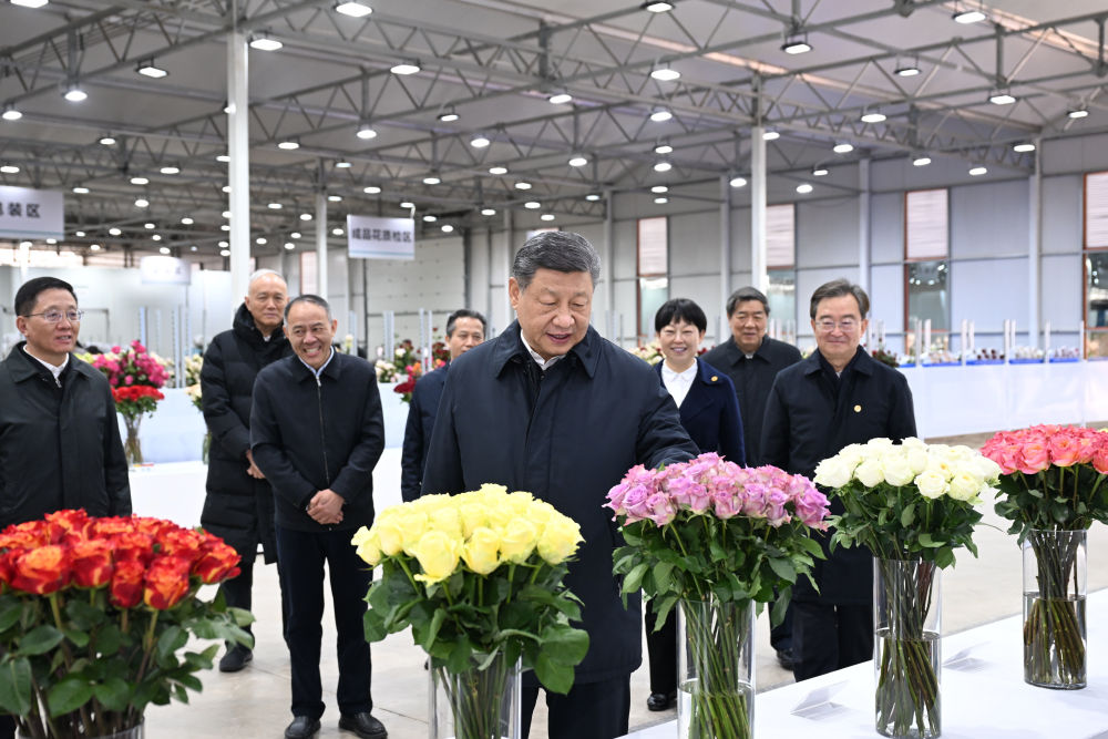 新华社记者 谢环驰 摄 新华社记者 谢环驰 摄