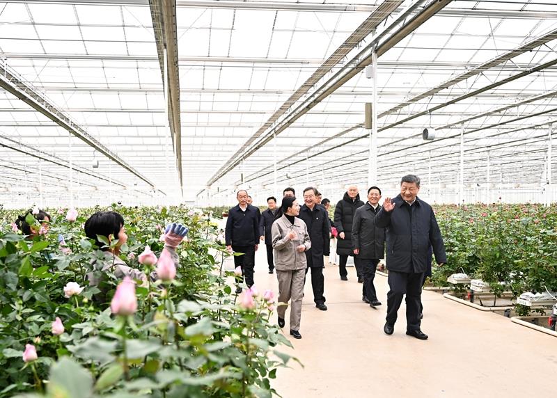 △2025年3月19日,习近平总书记在云南丽江现代花卉产业园考察。 △2025年3月19日,习近平总书记在云南丽江现代花卉产业园考察。