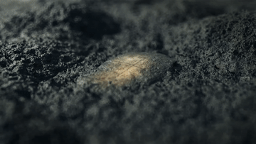 4378045426313282594.gif