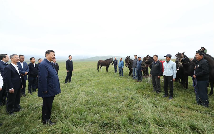 CHINA-GANSU-SHANDAN COUNTY-XI JINPING-INSPECTION (CN)