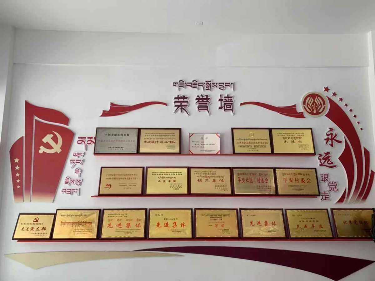 西藏达东村：基层党建引领 乡村振兴有了强“车头”