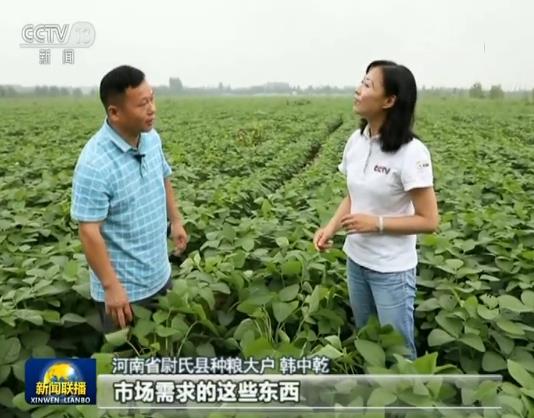 【在习近平新时代中国特色社会主义思想指引下——新时代 新作为 新篇章】优化结构 推进粮食生产绿色发展