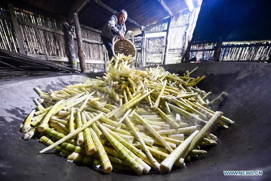 CHINA-CHONGQING-NANCHUAN-BAMBOO SHOOTS-COLLECTOR (CN)