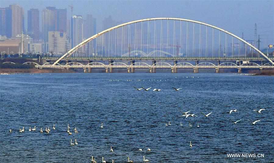 CHINA-ENVIRONMENT-ECOLOGICAL CIVILIZATION CONSTRUCTION (CN)