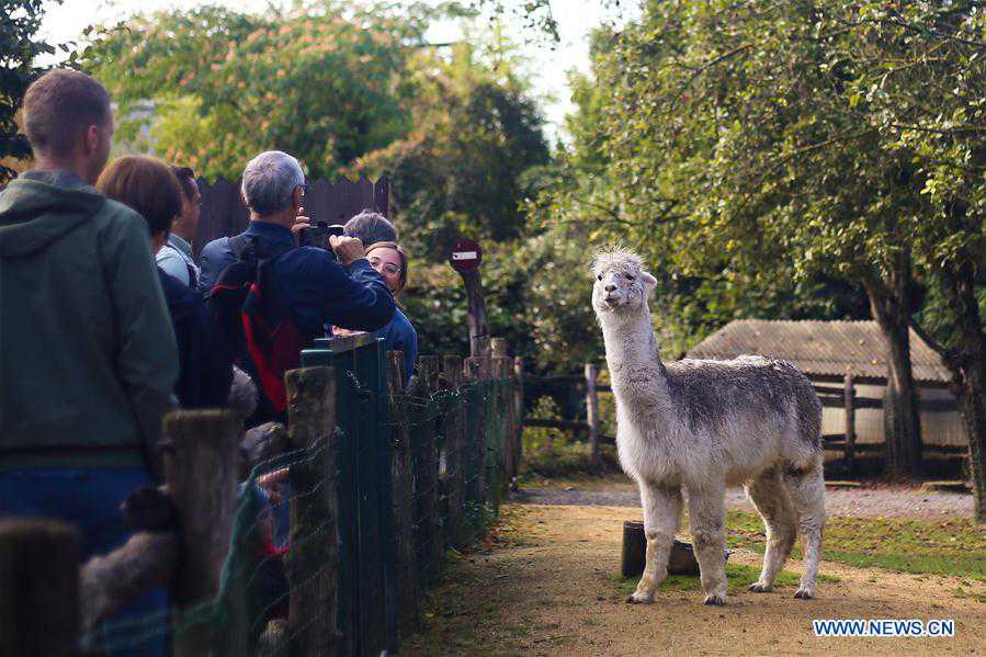 BELGIUM-BRUGELETTE-ZOO-PAIRI DAIZA