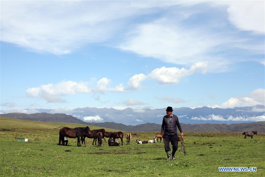 CHINA-XINJIANG-NARAT-SCENERY (CN)