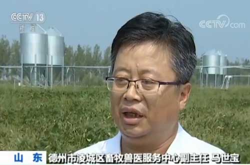 猪肉稳产保供措施频出 养殖户信心增强正扩大产能