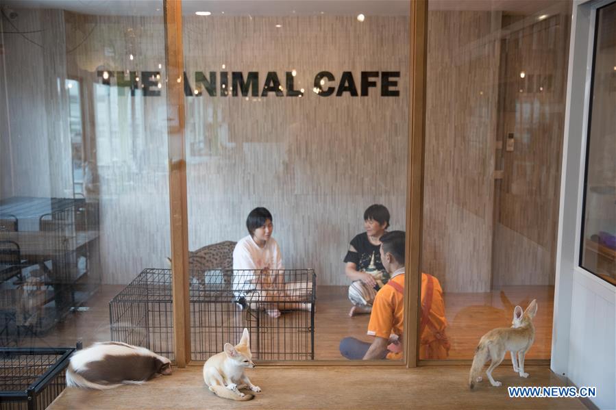 THAILAND-BANGKOK-ANIMAL CAFE