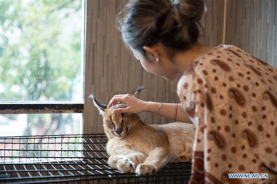 THAILAND-BANGKOK-ANIMAL CAFE