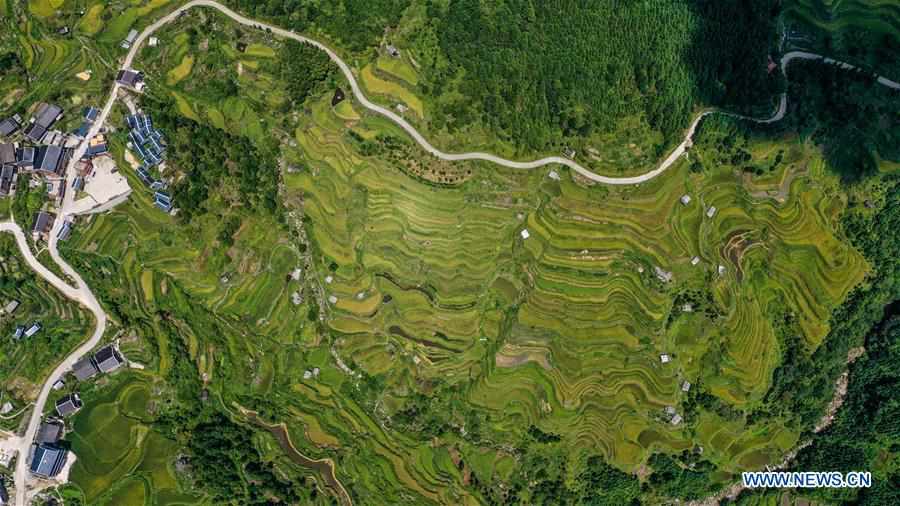 CHINA-GUANGXI-RONGSHUI-AUTUMN SCENERY(CN)