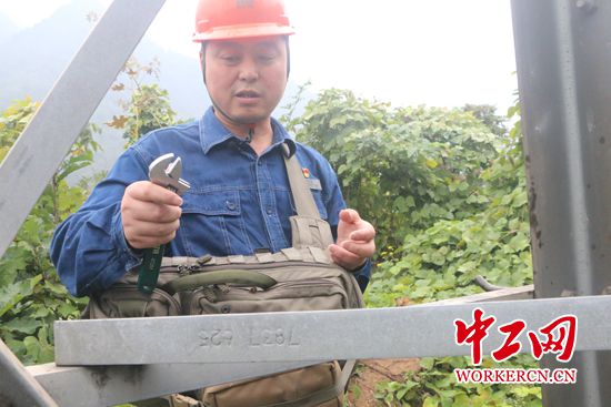 周红亮：情系光明匠心红