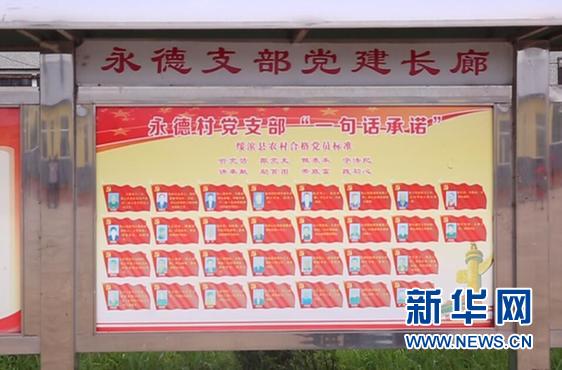 【边疆党旗红】一句话承诺让永德村党建和扶贫“双促双赢”