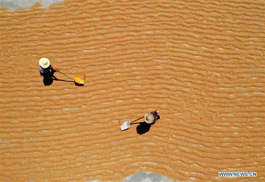 CHINA-FARMERS' HARVEST FESTIVAL (CN)