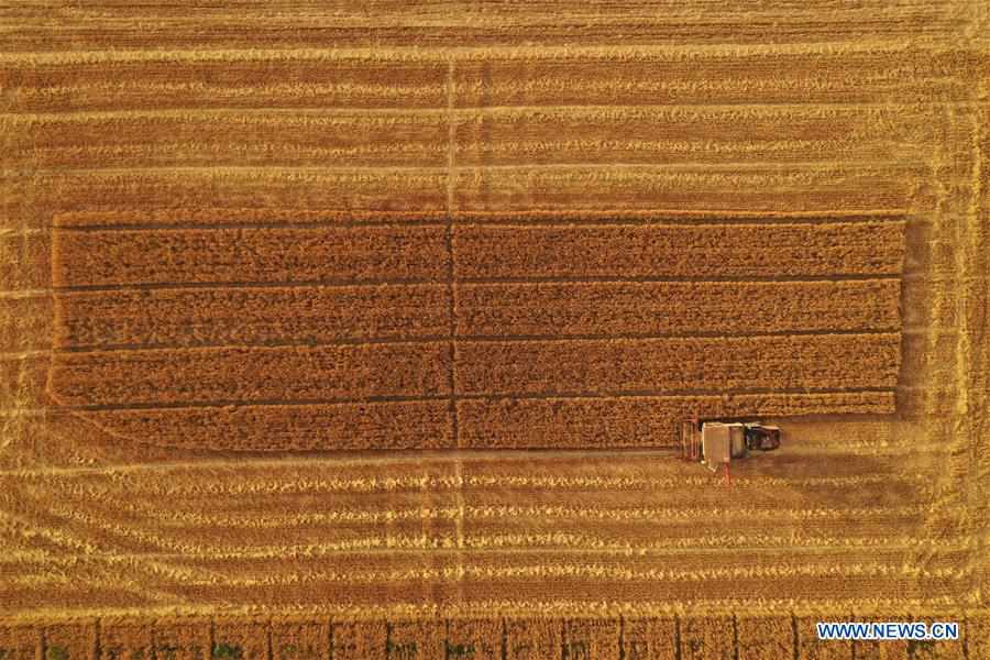 CHINA-FARMERS' HARVEST FESTIVAL (CN)