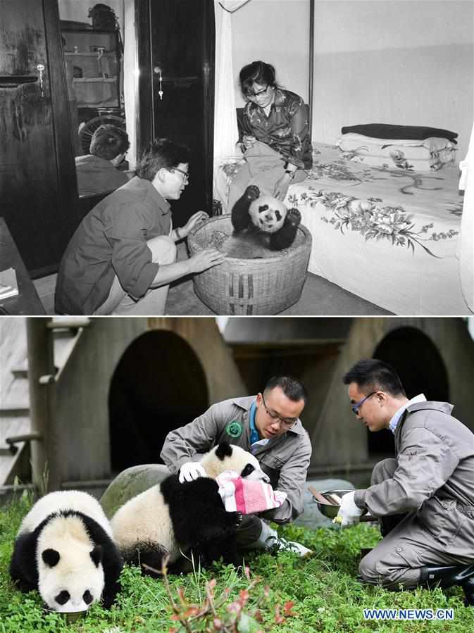 (MOMENTS FOREVER)CHINA-OCCUPATIONS-70 YEARS-DEVELOPMENT (CN)