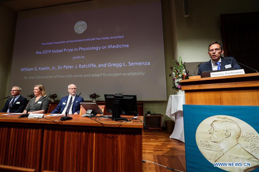 SWEDEN-STOCKHOLM-2019 NOBEL PRIZE ANNOUNCEMENT-PHYSIOLOGY OR MEDICINE