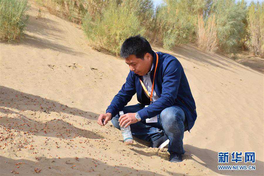 ��ͼ�Ļ�������2����ɳר�ң���Ԫ�ƶ��ҹ���ɳ��ɳ