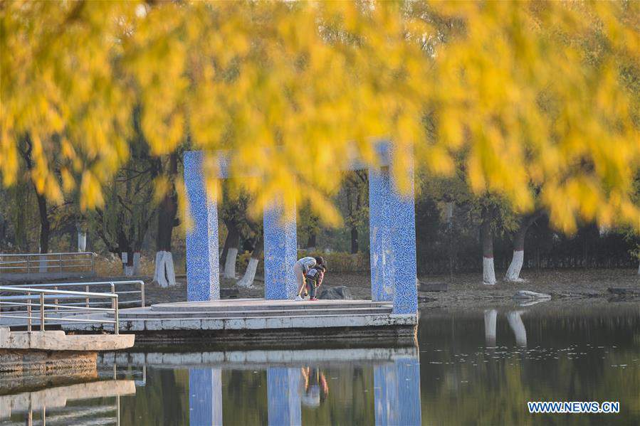 CHINA-INNER MONGOLIA-HOHHOT-AUTUMN SCENERY (CN)