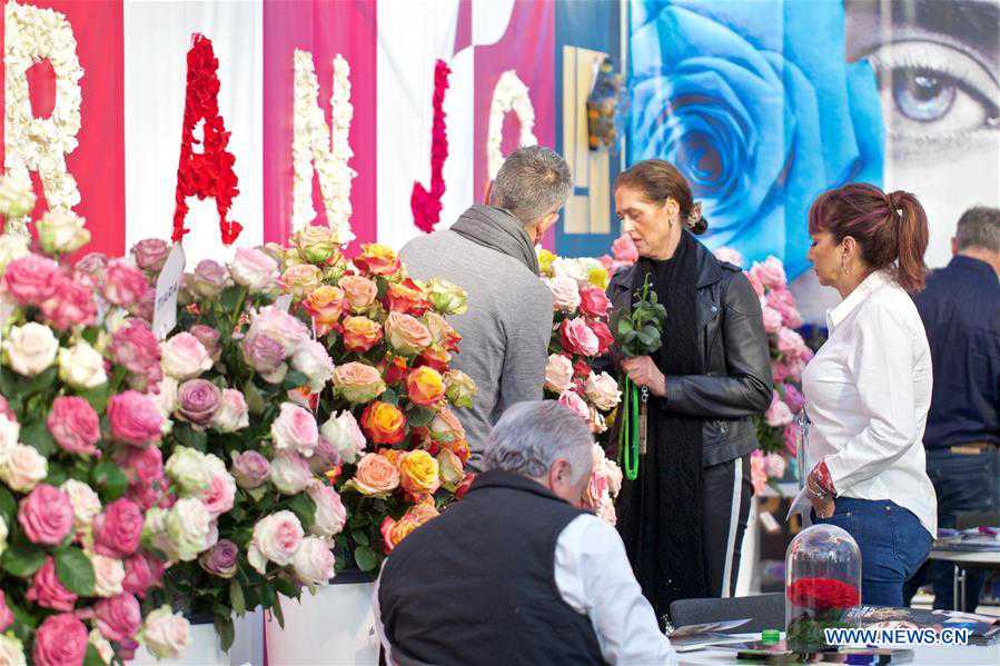 THE NETHERLANDS-VIJFHUIZEN-FLORICULTURE FAIR