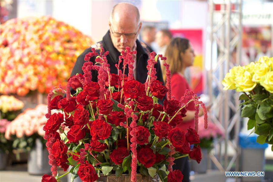 THE NETHERLANDS-VIJFHUIZEN-FLORICULTURE FAIR