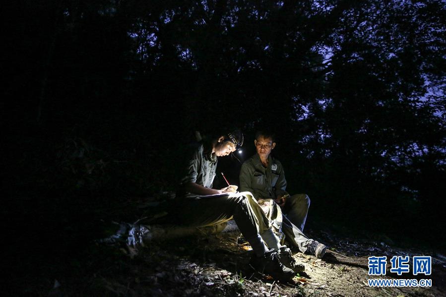 ��ͼƬ���£���3��Ѱ�Һ��ϳ���Գ