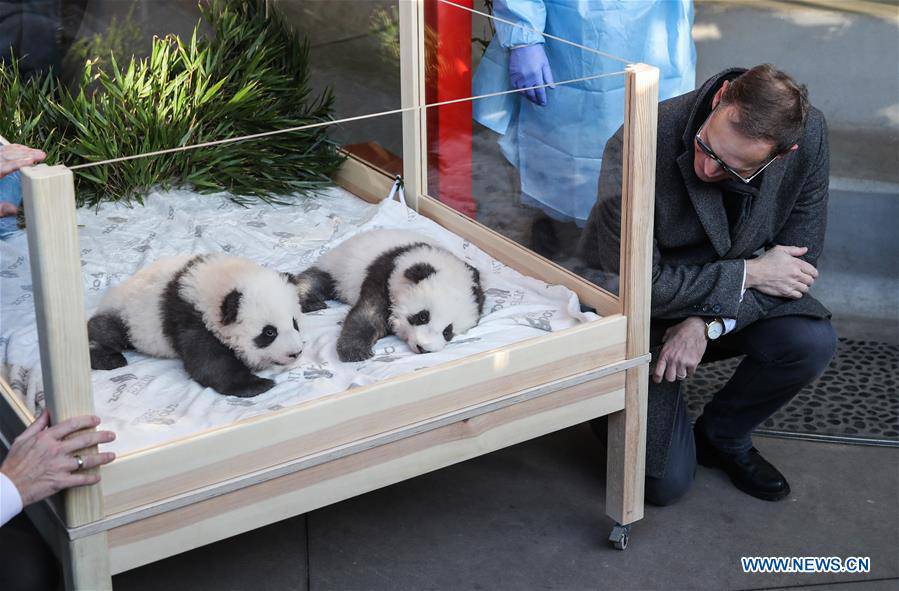 GERMANY-BERLIN-TWIN PANDA NEWBORNS-NAMES