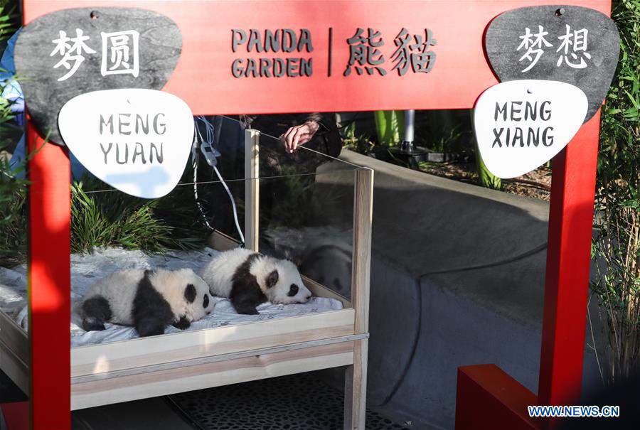 GERMANY-BERLIN-TWIN PANDA NEWBORNS-NAMES