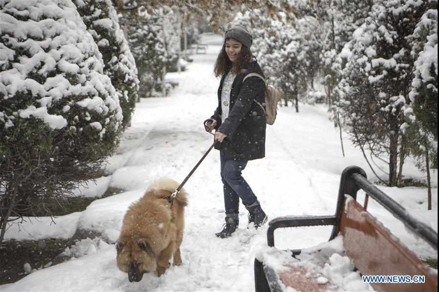 IRAN-TEHRAN-SNOWFALL