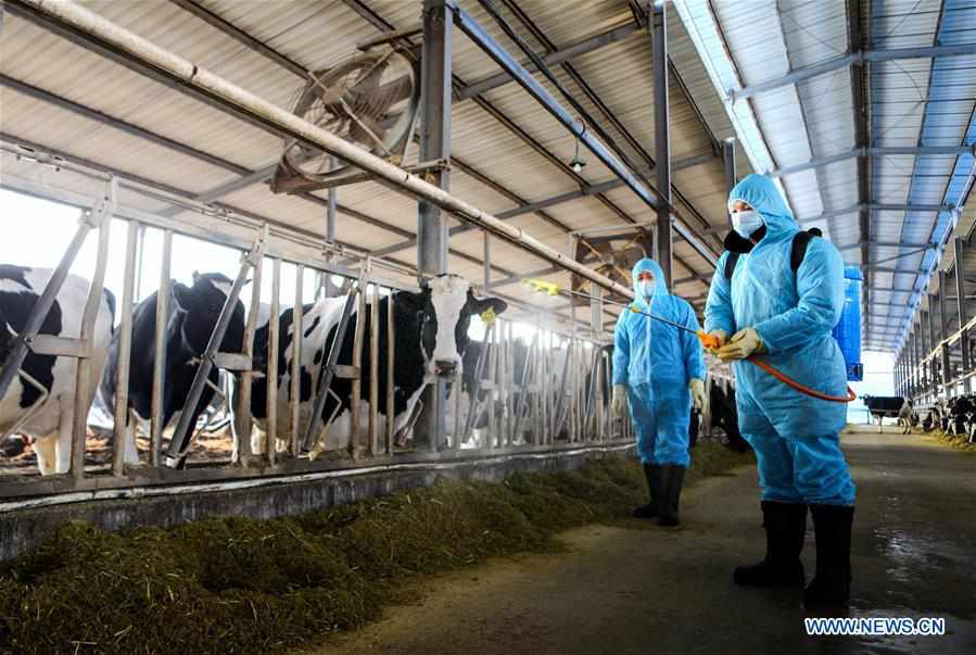 CHINA-HEBEI-HANDAN-CORONAVIRUS-PREVENTION AND CONTROL(CN)