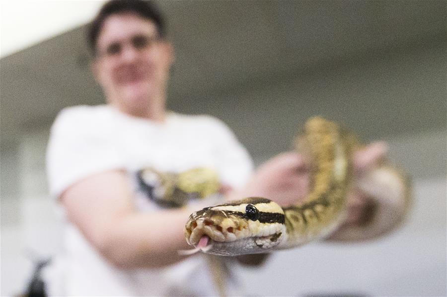 CANADA-TORONTO-REPTILE EXPO