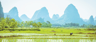 人勤春来早