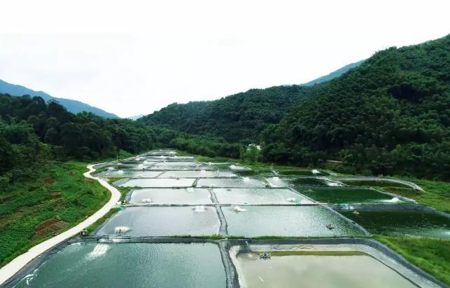 遵义赤水：把握“四个一体” 构建坝区经济“四大链条”