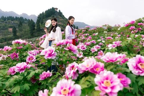我在垫江等你——2020年3月25日第21届牡丹文化节正式开幕