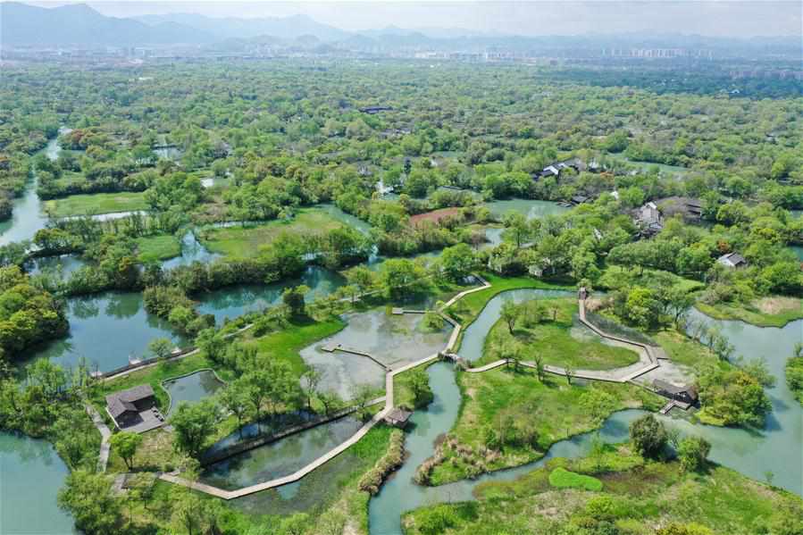 CHINA-ZHEJIANG-HANGZHOU-WETLAND-SCENERY (CN)