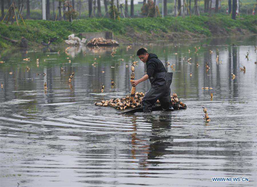 CHINA-ZHEJIANG-HUZHOU-COUNTRYSIDE (CN)